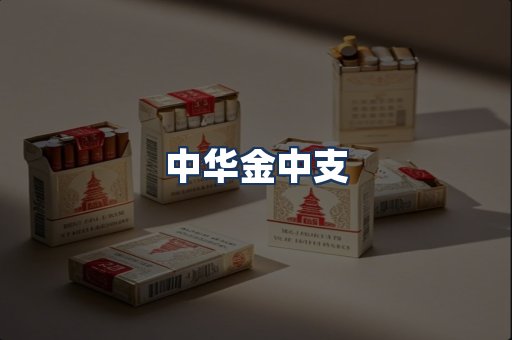 中华金中支